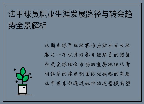 法甲球员职业生涯发展路径与转会趋势全景解析
